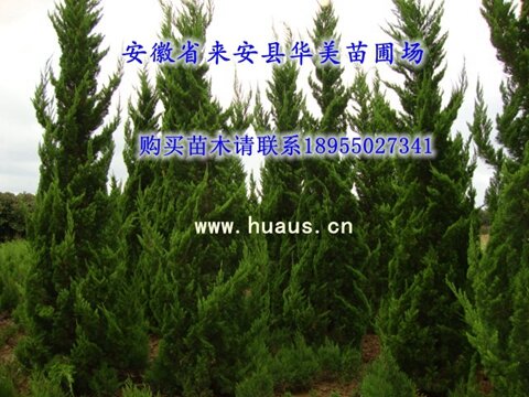 ����-��������