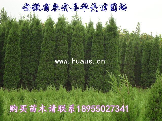 ����֮��