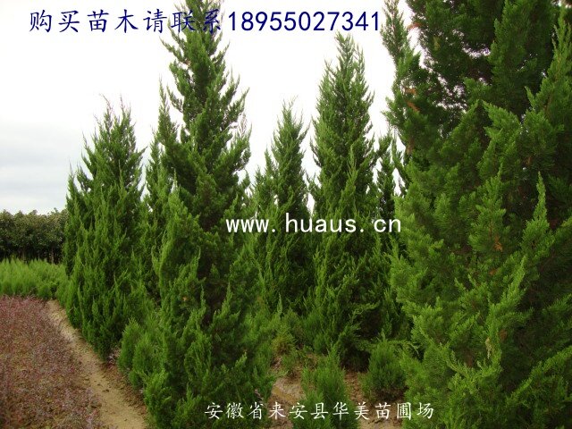 3���������ʺ���ͨ