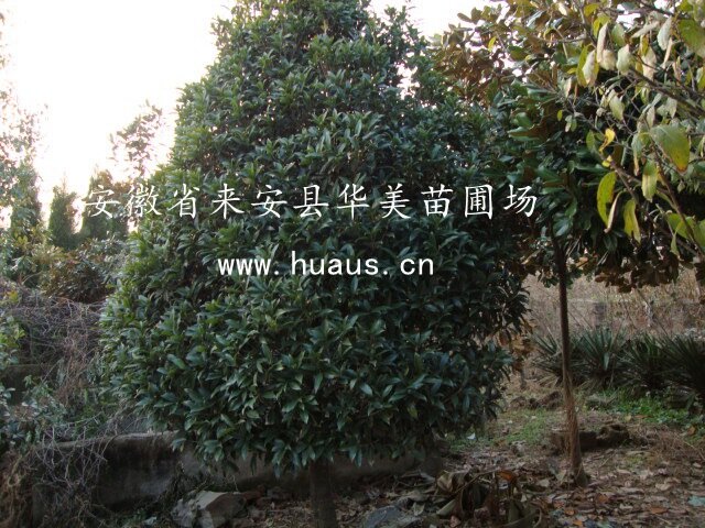 �������Դ��